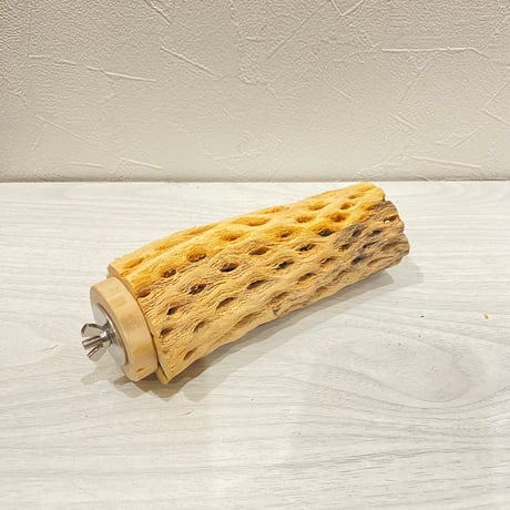 カクタスパーチ【20】直径4~5cm/長さ15cm