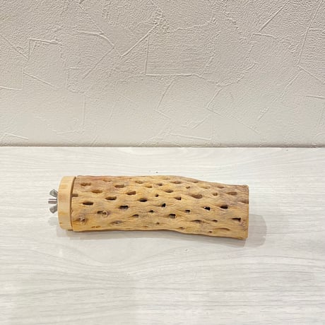 カクタスパーチ⑯中4.5~5.5cm長さ15㎝