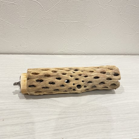 カクタスパーチ① 中サイズ直径5cm/17cm