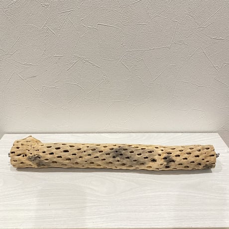 ケージサイズカクタスパーチ  中サイズ②（直径約5.5cm）HOEI465