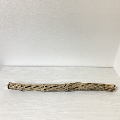 ケージサイズカクタスパーチ③ 極小サイズ直径約2-3cm HOEI465サイズ