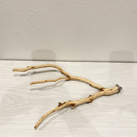 自然木（カイヅカイブキ）のパーチ① 　直径0.7～2cm／長さ32cm