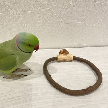 自然木（ツタ）のドーナツパーチ⑤ パーチ直径1cm／円直径15×14.5cm
