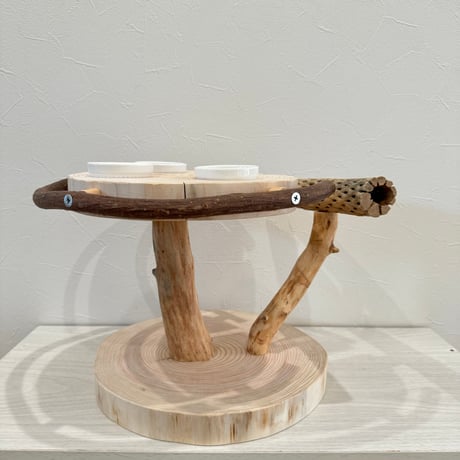 ツタとカクタス アリスのお茶会テーブル