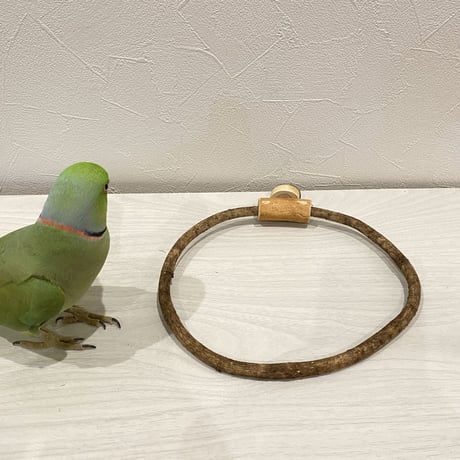 自然木（ツタ）のドーナツパーチ① ビックサイズ  パーチ直径1cm／円直径21.5×18.5cm