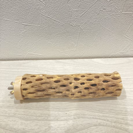 カクタスパーチ小⑭ 直径約3~4cm 長さ15cm
