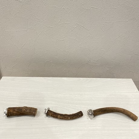 自然木（ツタ）パーチ④ 3本セット