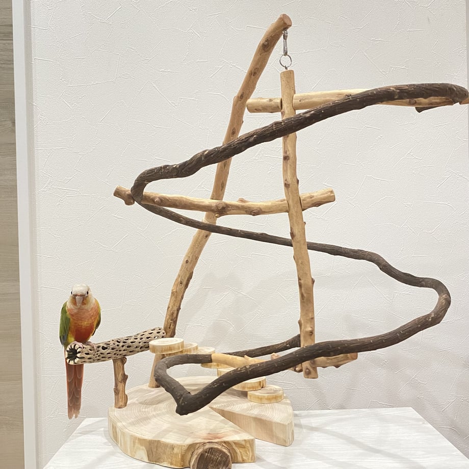 637638fa4ff8c26adff90346