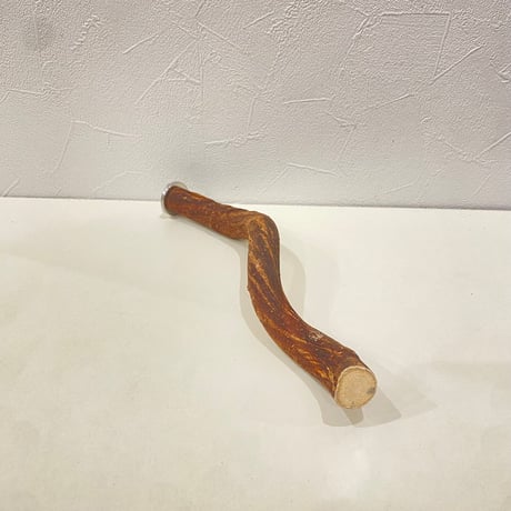自然木（ツタ）パーチ 直径2cm/長さ26cm