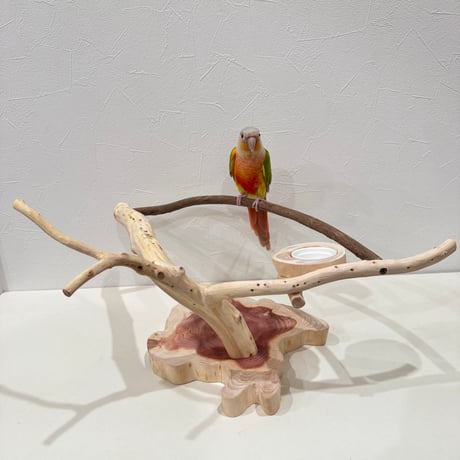 ツタとカイヅカイブキのおやつ入れ付きスタンドパーチ  【インコ 自然木 止まり木 】