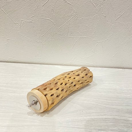 カクタスパーチ⑯中4.5~5.5cm長さ15㎝