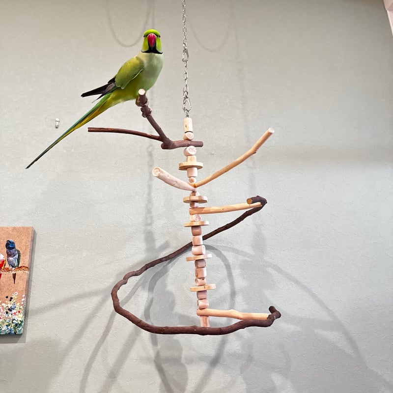 コトリのなる木カスタム つり下げゆらゆらバードアスレチック【インコ