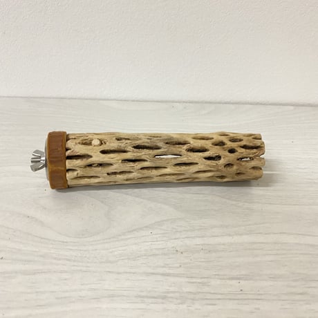 カクタスパーチ 極小サイズ① 直径（約2-3cm）長さ/14cm
