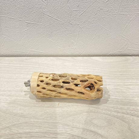 カクタスパーチ小⑤ 直径約3~4cm 長さ10cm