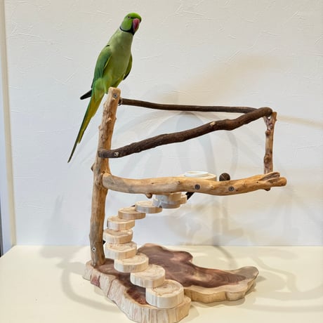 ツタと螺旋階段のぐるぐるバードアスレチック【インコのおもちゃ・自然木のとまり木】