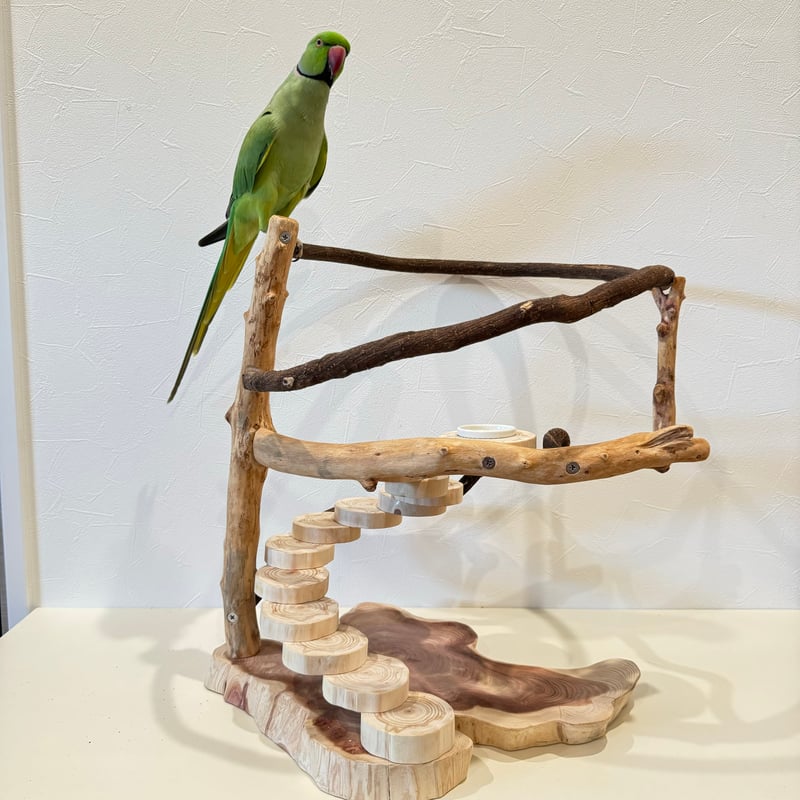 ツタと螺旋階段のぐるぐるバードアスレチック【インコのおもちゃ・自然