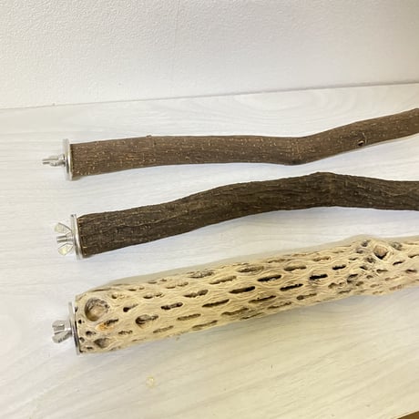 【sizu様専用】カクタスパーチ 極小 直径約3cm 長さ/44cm