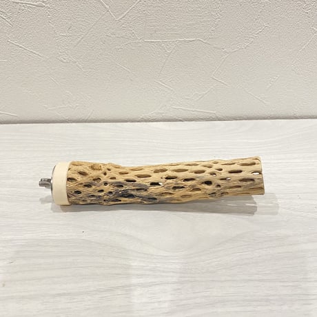 カクタスパーチ①  極小 直径3cm前後 長さ15cm