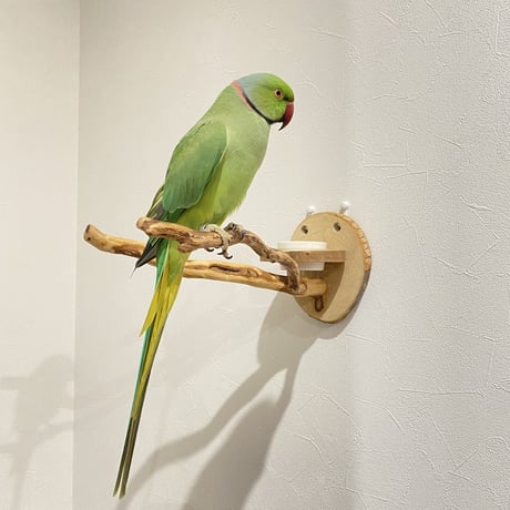ピノキオの鼻 ④  おやつ入れ付き