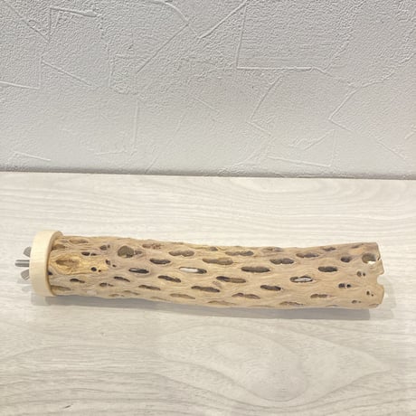 カクタスパーチ12  小　直径4cm前後 長さ20cm