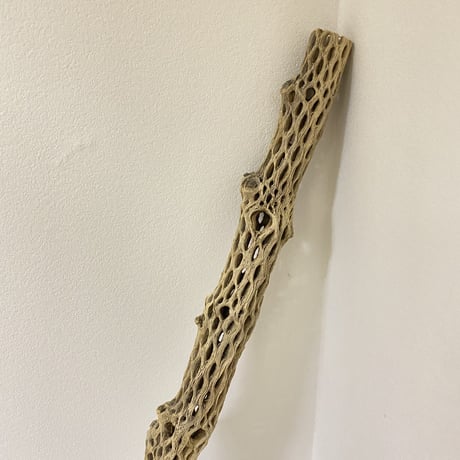 【urocokina8様専用】カクタス小サイズ直径3-4cm 長さ75cm