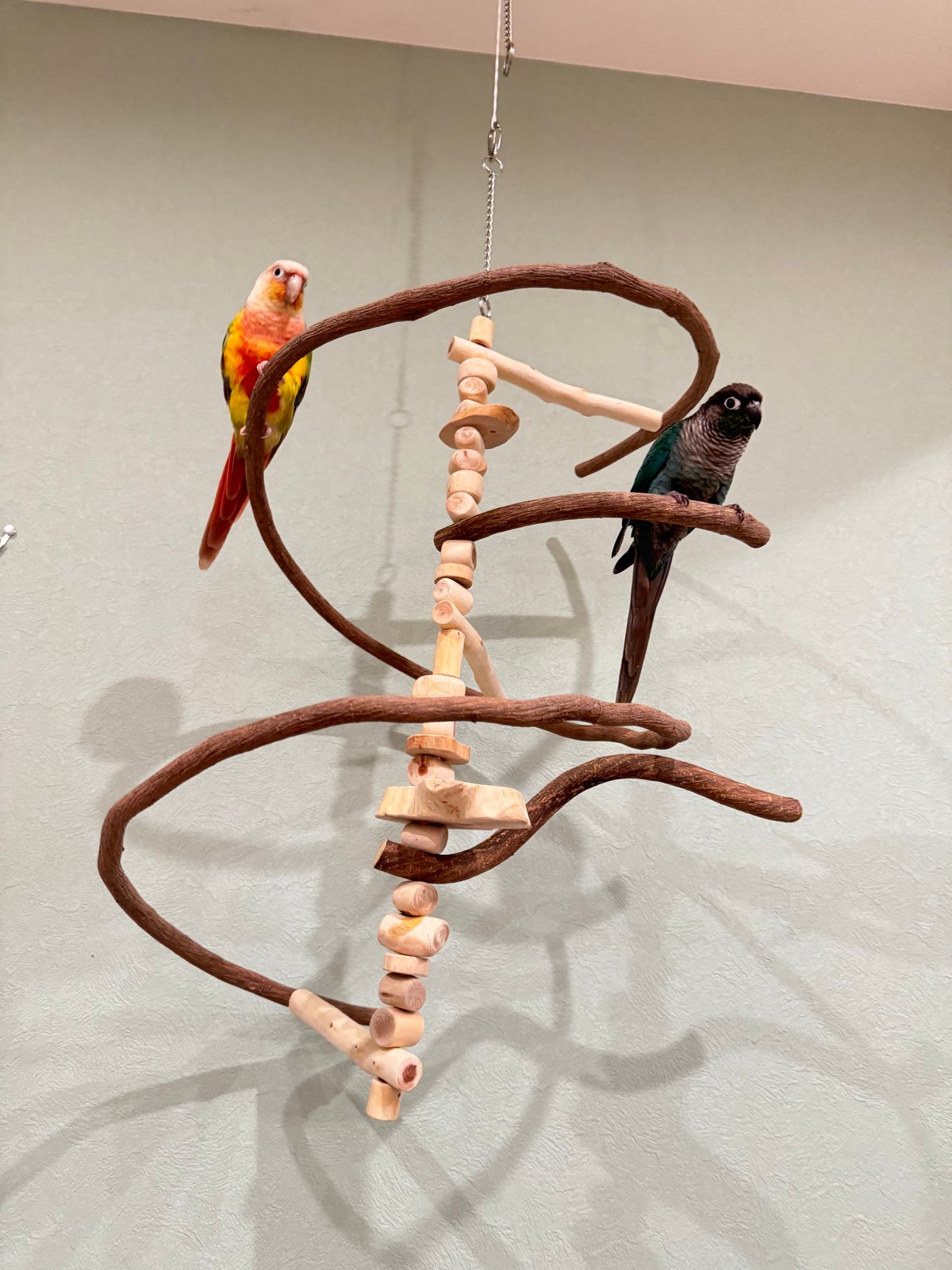 むらゆ★小動物□⬜︎アスレチックHOUSE⬜︎□⚪︎バードアスレチック 小動物□⬜︎アスレチックHOUSE⬜︎□⭐︎バードアスレチック