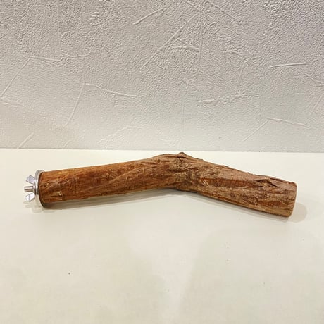 自然木（ツタ）パーチ 直径約2.5cm/長さ20cm