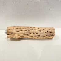カクタスパーチ(T) 直径約5cm/長さ20cm
