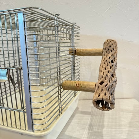 使い方いろいろ 屋上カクタスパーチ【1】 小25cm