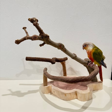 ツタとトウカエデのスタンドパーチ【インコのおもちゃ・ブランコ・自然木のとまり木】バードアスレチック