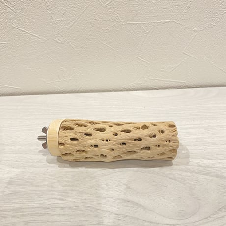 カクタスパーチ⑨  極小 直径3cm前後 長さ10cm