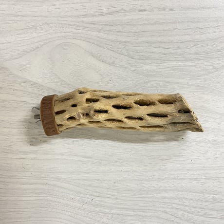 カクタスパーチ 小サイズ 直径（約3-4cm）長さ/12cm
