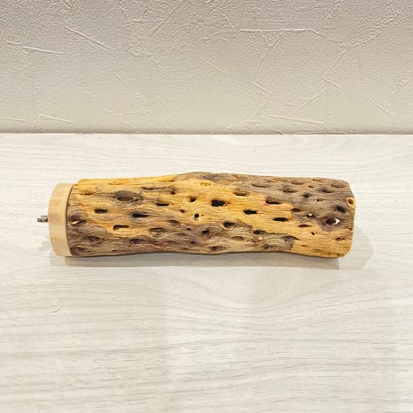 カクタスパーチ【25】直径4~5cm/長さ17cm
