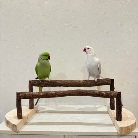 ツタのくつろぎスタンドパーチ①