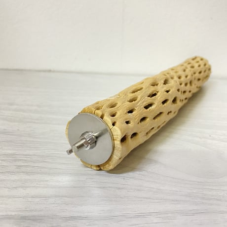ハートフルサイズ カクタスパーチ① 小 直径3-4cm／長さ22cm