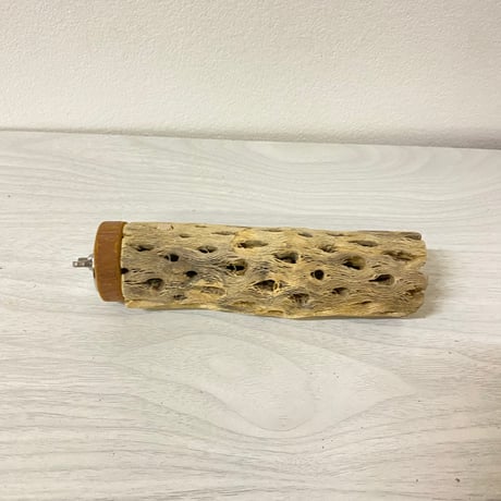 カクタスパーチ③ 中サイズ 直径（約5.5cm）長さ/14.5cm