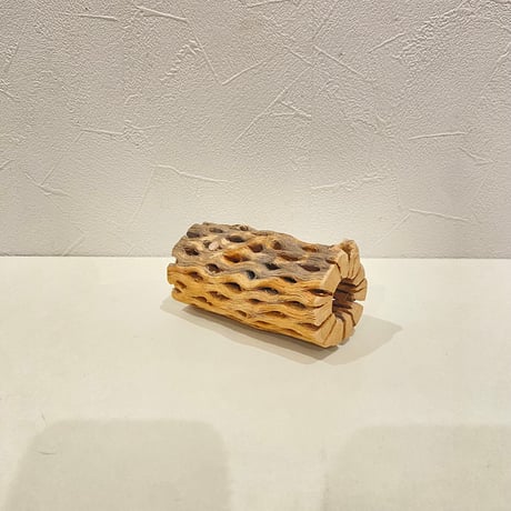 カクタスパーチ① 直径約5cm/長さ10.5cm