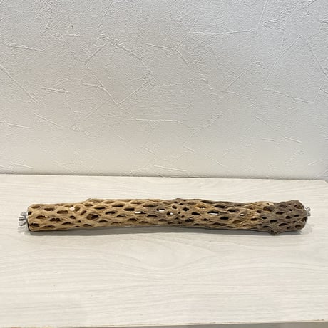 ケージサイズカクタスパーチ②  HOEI35 小（直径3-4cm）