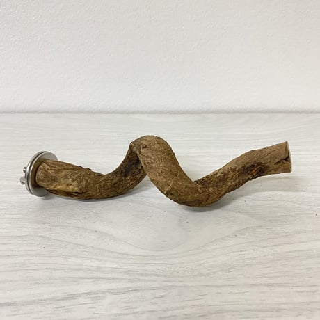 自然木（ツタ）パーチ⑤