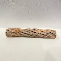 カクタスパーチ⑪ 直径約4cm/長さ25cm