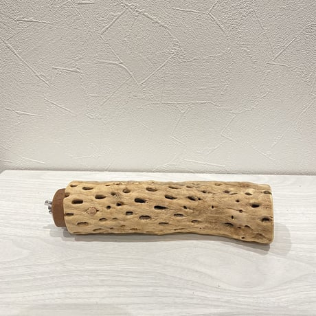 カクタスパーチ⑯  中 直径約5.5cm/18cm