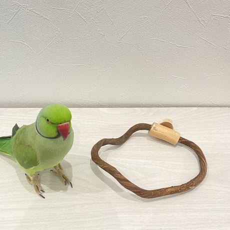 自然木（ツタ）のドーナツパーチビックサイズ Ｏ パーチ直径1cm／円直径15.5×19cm