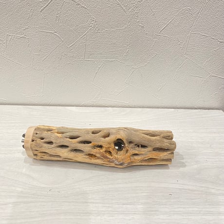 カクタスパーチ⑳中4.5~5.5cm長さ18㎝