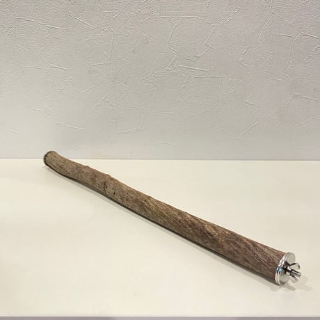 殿様パーチ⑤（自然木ツタ） HOEI465サイズ  直径約2.5cm