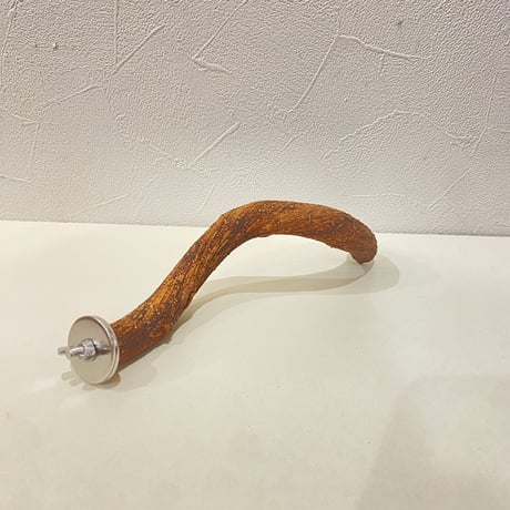 自然木（ツタ）パーチ 直径約1.8cm/長さ18cm