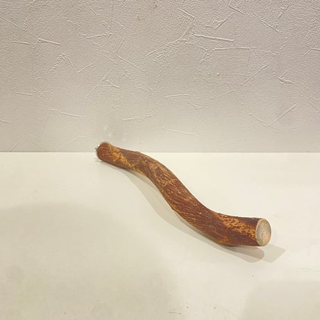 自然木（ツタ）パーチ 直径約2.5cm/長さ30cm