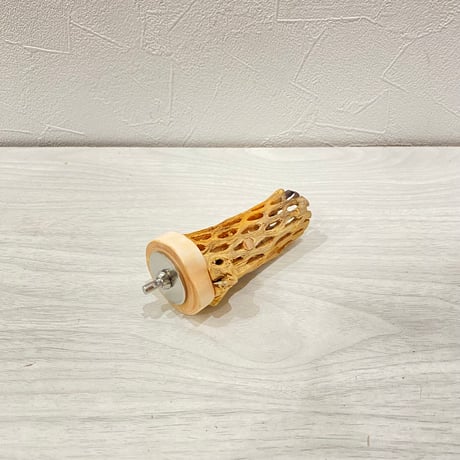 カクタスパーチ極小サイズ長さ8cm