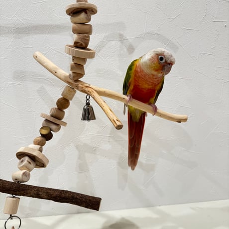 国産ウッドビーズのおでんくん① ステンレスベル付き　【インコ・小鳥のおもちゃ　自然木の止まり木】