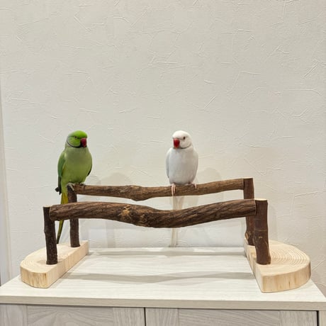 ツタのくつろぎスタンドパーチ③