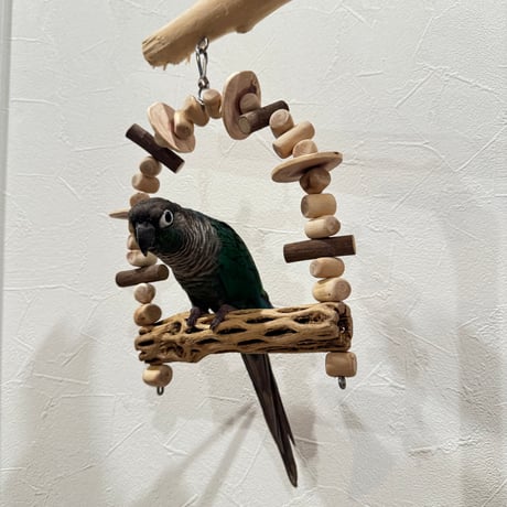 カクタスと天然ウッドビーズのブランコ【インコ おもちゃ バンブルフット予防】